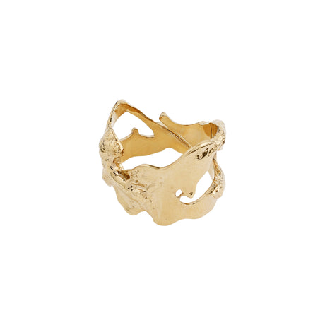 Pilgrim COMPASS ring gold plated
