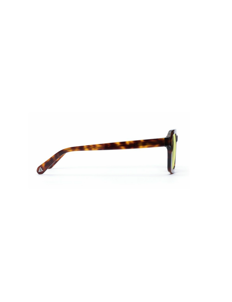 IOLLA - KELSO Medium Havana