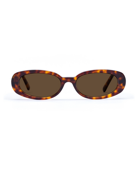 IOLLA - COOPER Medium Havana