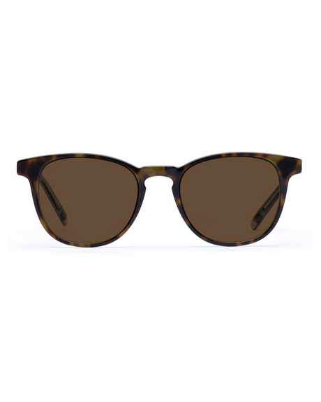 IOLLA - SMITH Havana Light Blue